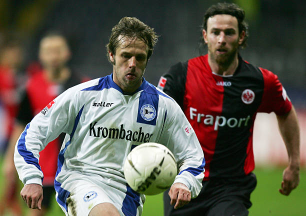 仅体现了个 仅体现了个